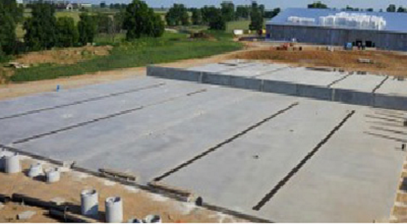 Foundation